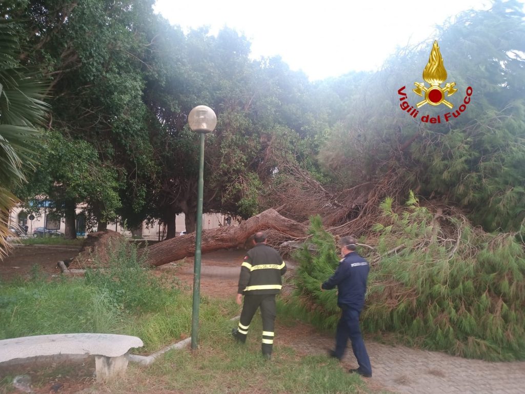 Milazzo albero sulla carreggiata (1)