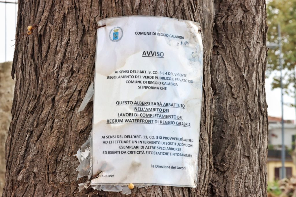 abbattimento alberi via florio