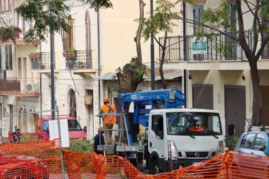 abbattimento alberi via florio
