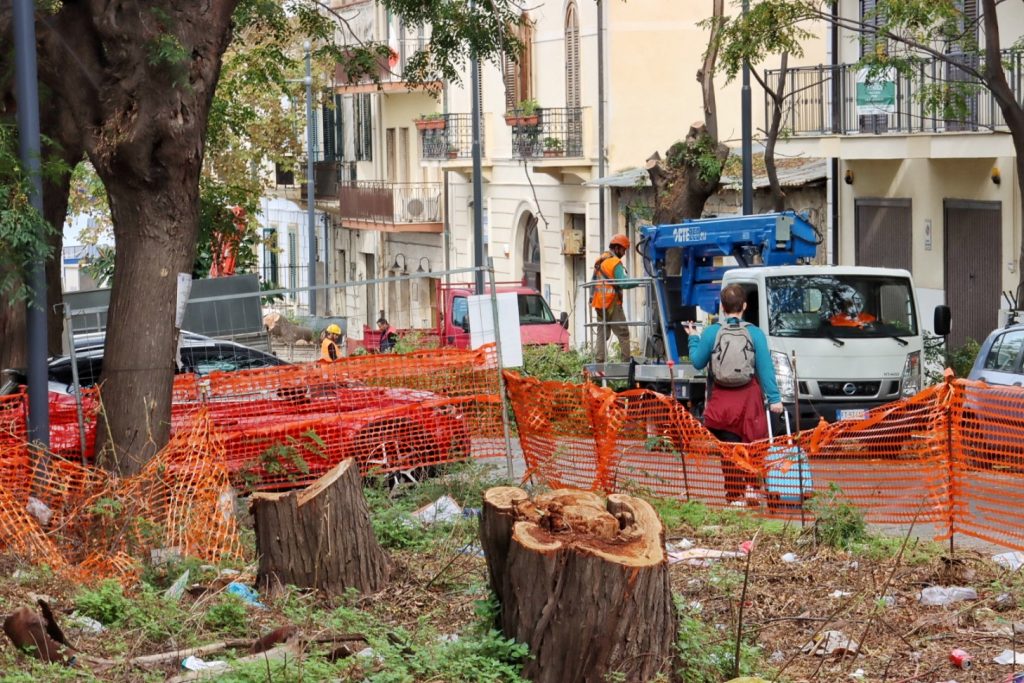 abbattimento alberi via florio