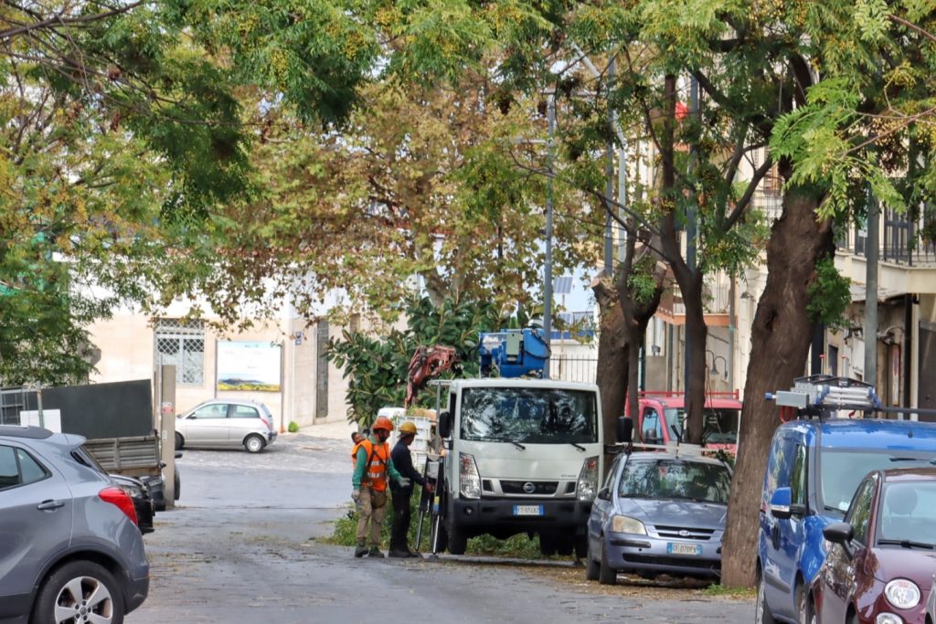 abbattimento alberi via florio