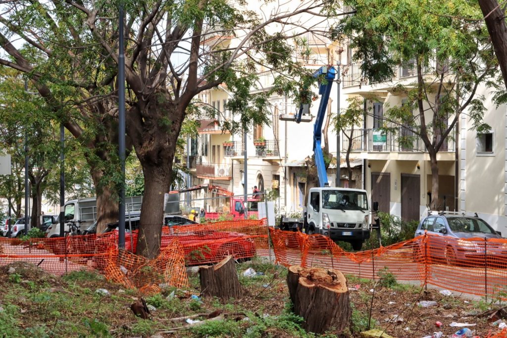 abbattimento alberi via florio