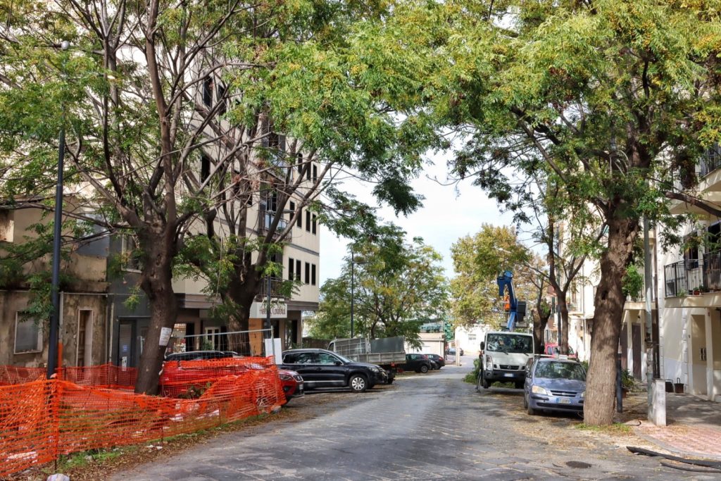 abbattimento alberi via florio