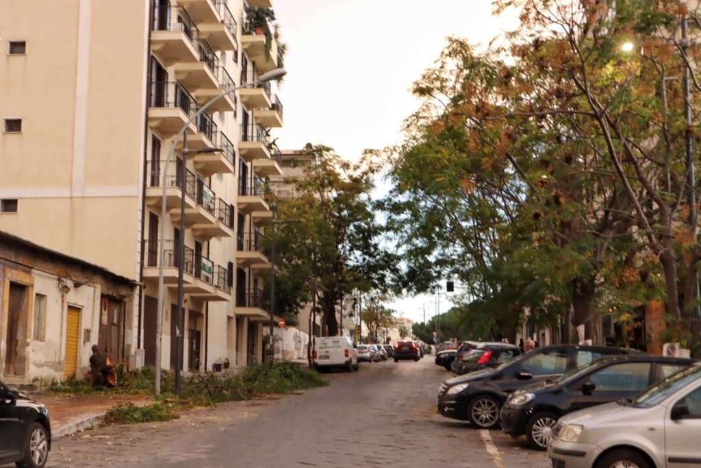abbattimento alberi via florio