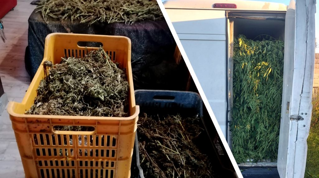marijiana arresti reggio calabria