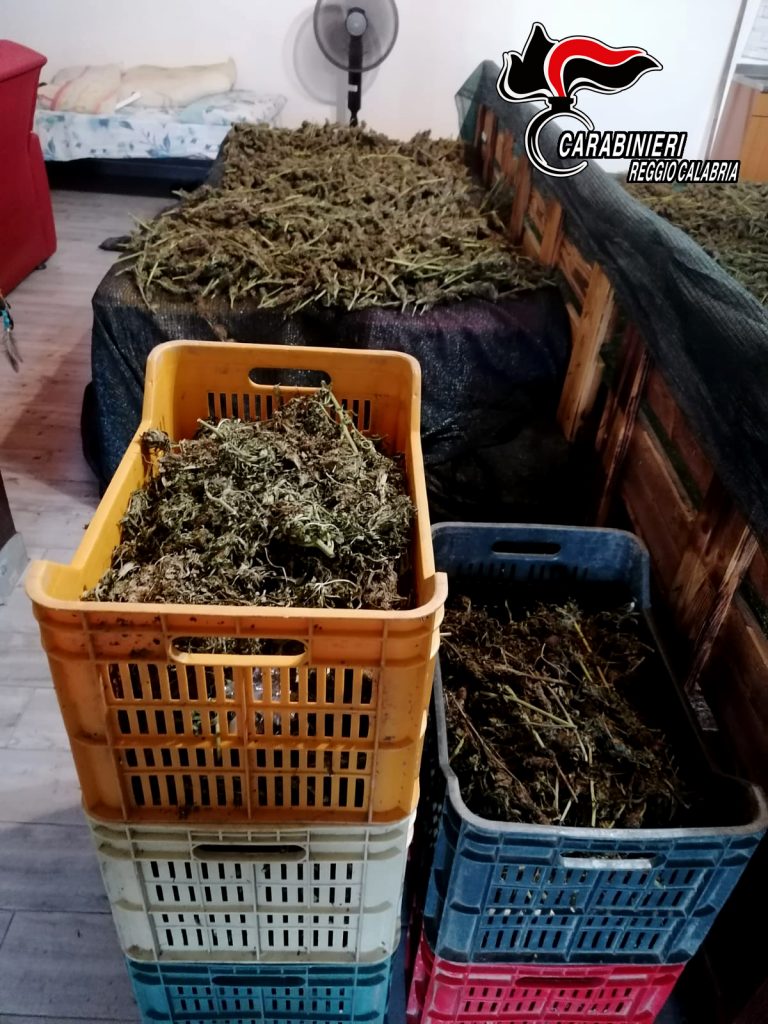 marijiana arresti reggio calabria