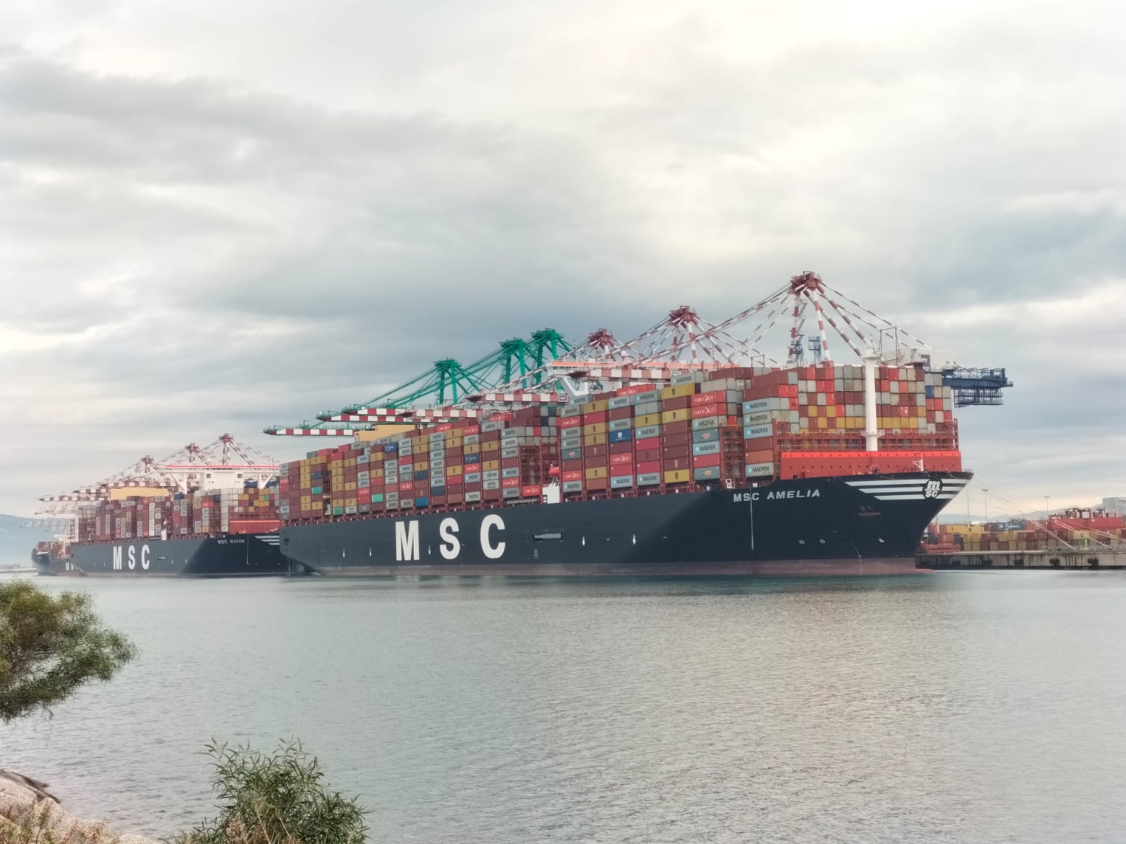 Msc Amelia e Msc Sixin
