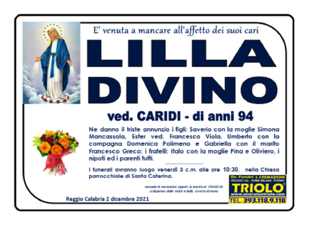 lilla divino