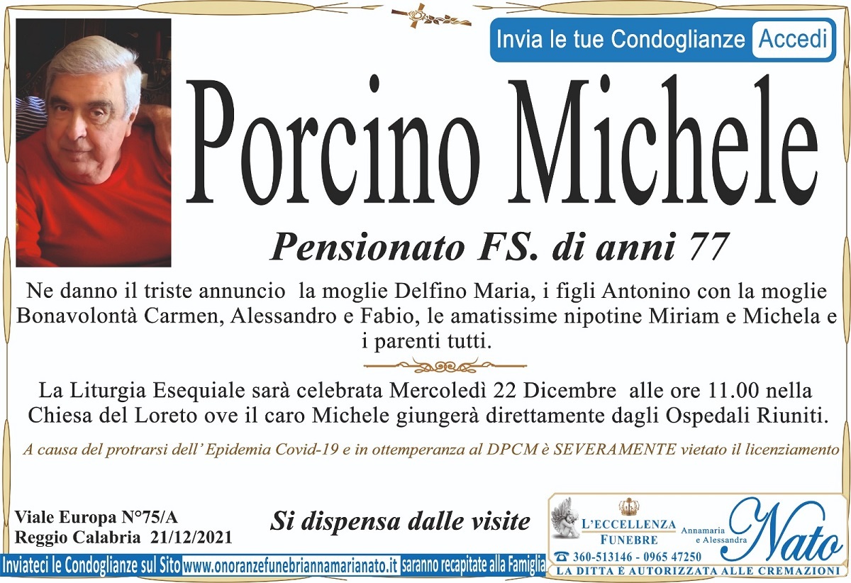 michele porcino