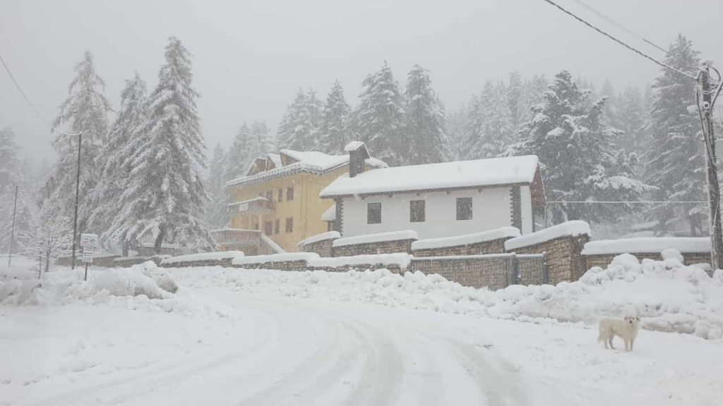 neve sila 11 dicembre 2021
