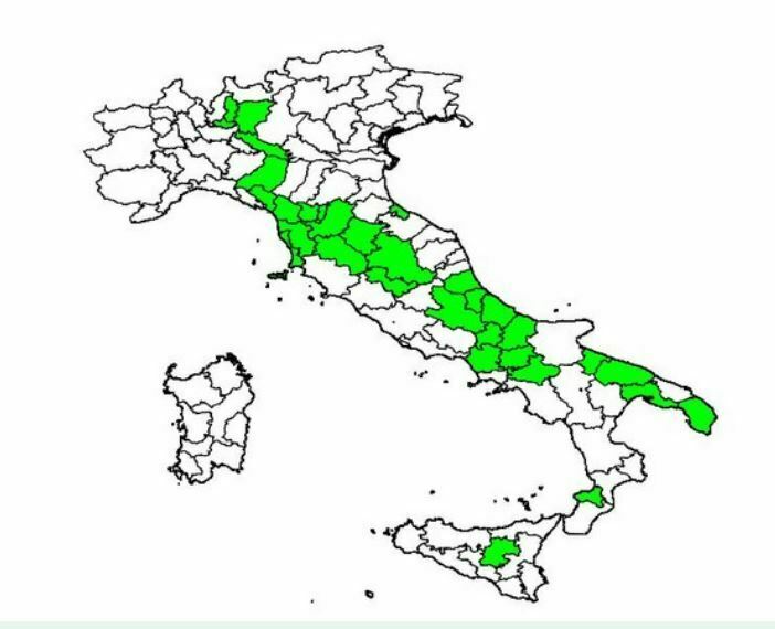 32 province in cui è più diffusa variante omicron