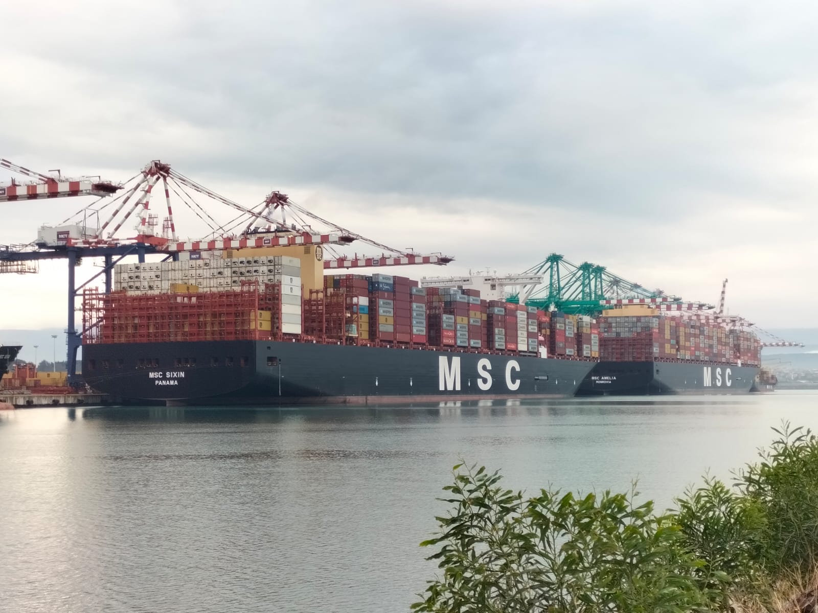 Msc Amelia e Msc Sixin. in porto JPG (1)
