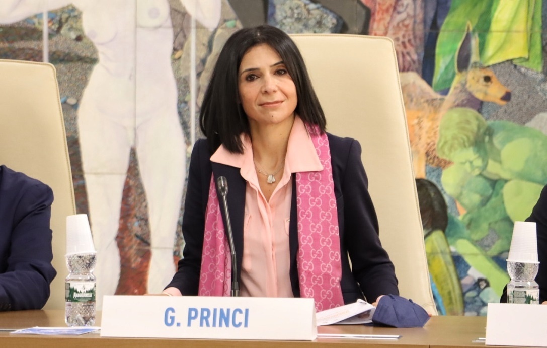 conferenza il futuro dei giovani reggio cal princi 03