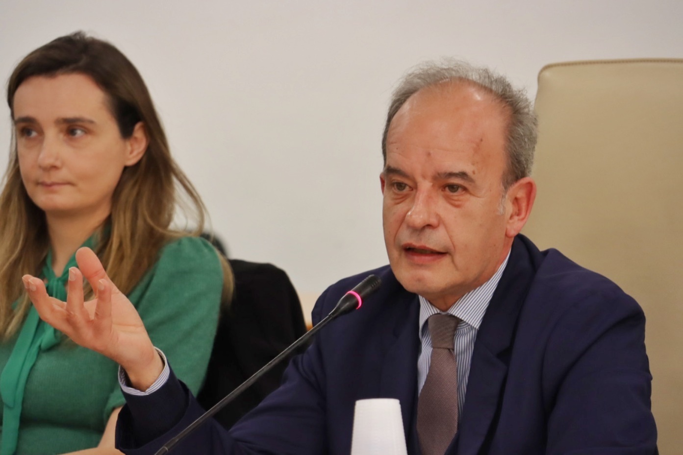 conferenza il futuro dei giovani reggio cal zimbone 09