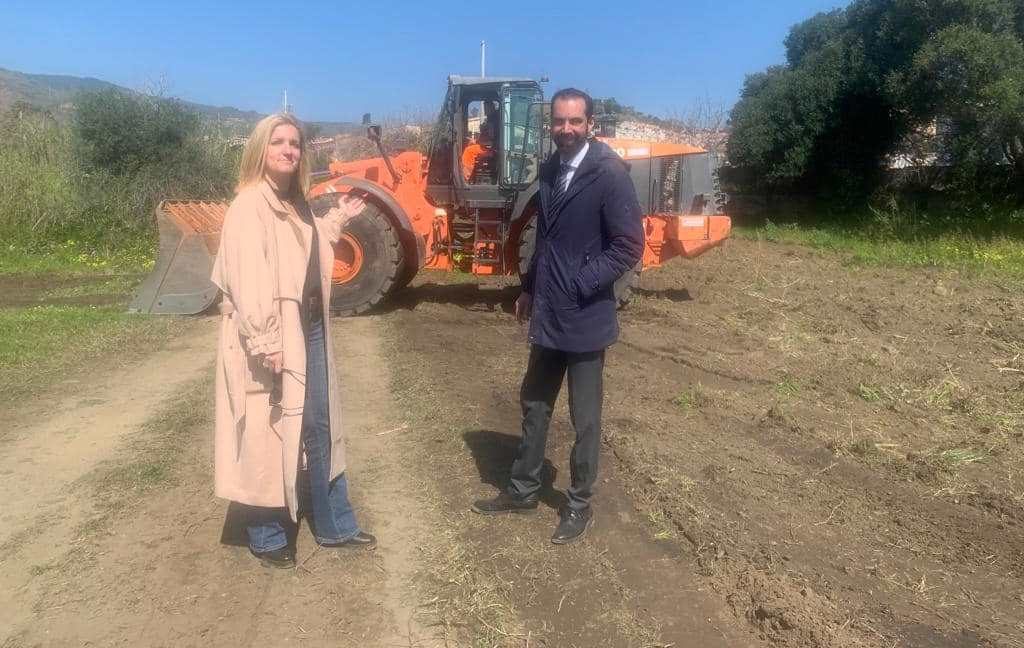 basile musolino zafferia