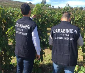 cc tutela agroalimentare