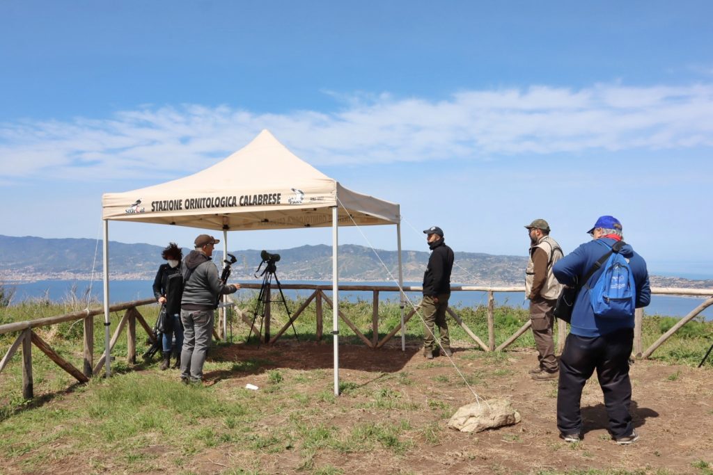 Adorno day campo calabro