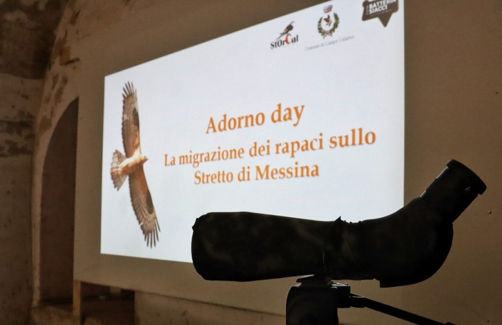 Adorno day campo calabro