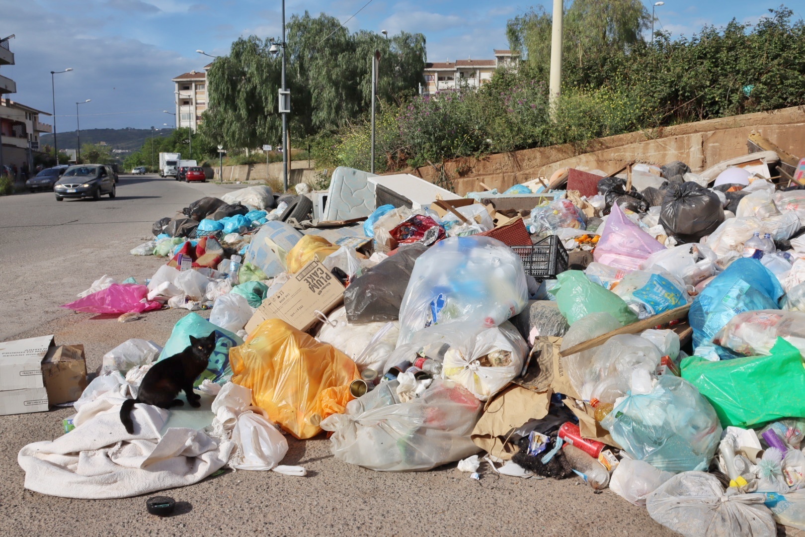 Rifiuti a Reggio Calabria