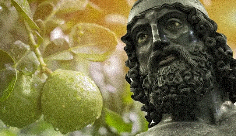 bronzi di riace e bergamotto