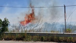 incendio campo calabro