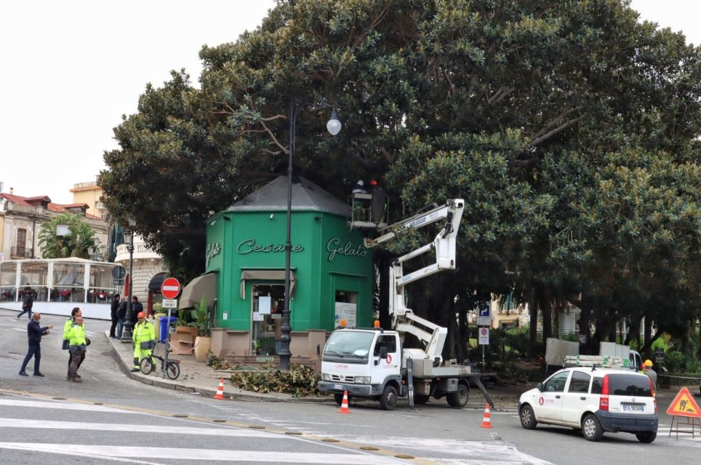 lavori potatura alberi in via marina