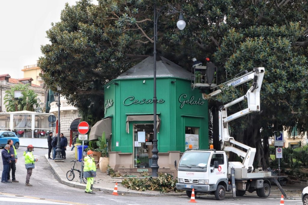 lavori potatura alberi in via marina
