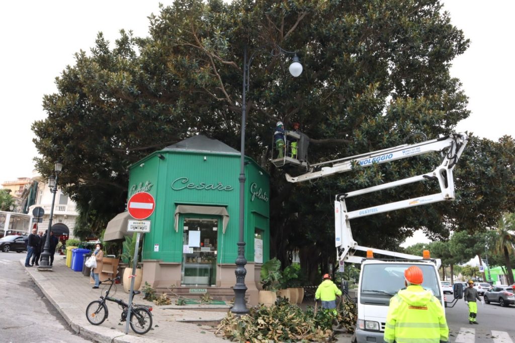 lavori potatura alberi in via marina