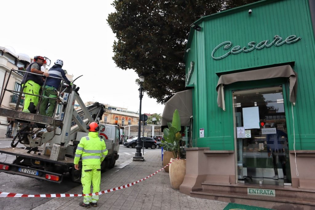 lavori potatura alberi in via marina