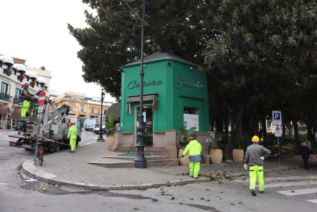 lavori potatura alberi in via marina