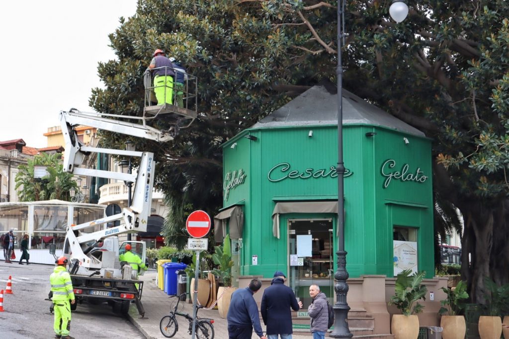 lavori potatura alberi in via marina
