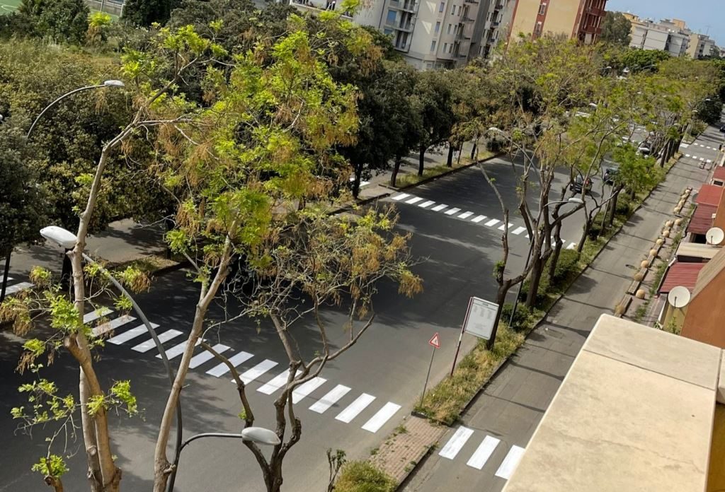 strisce viale calabria