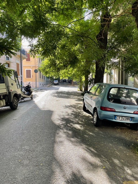 alberi rami in strada via benassai