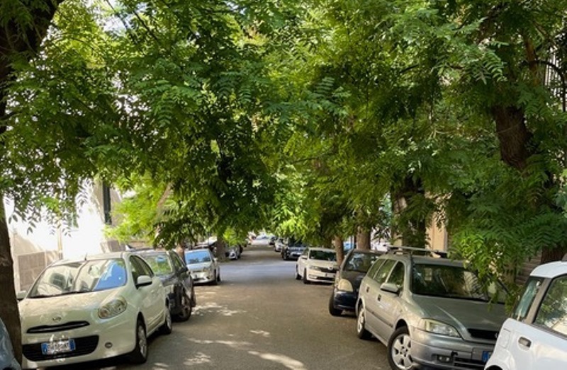 alberi rami in strada via benassai