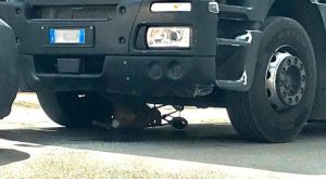 camion investe signora