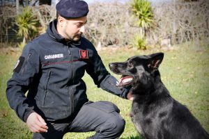 cane anti droga