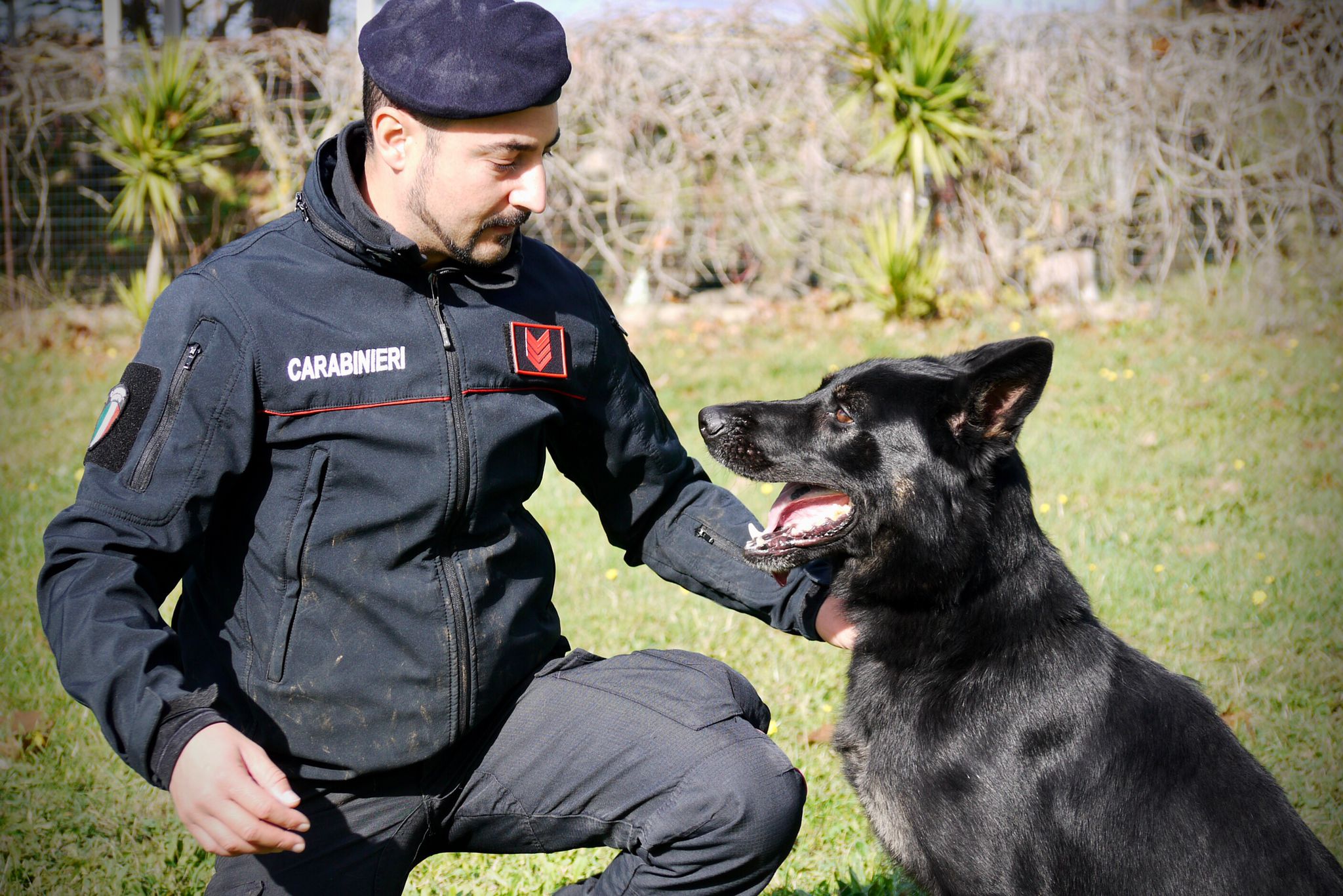 cane anti droga