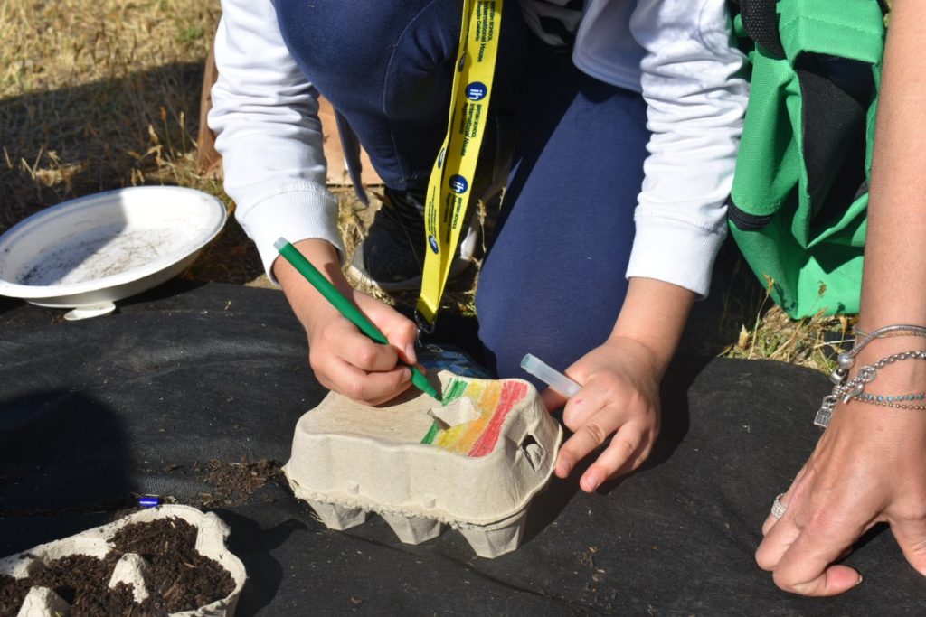 ih british scool reggio calabria parco ecolandia