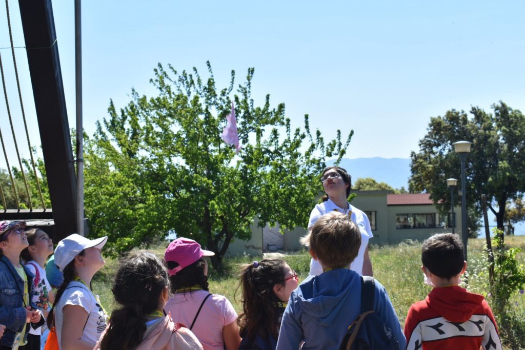 ih british scool reggio calabria parco ecolandia
