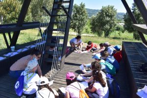 ih british scool reggio calabria parco ecolandia