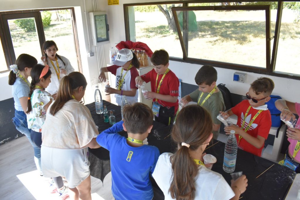 ih british scool reggio calabria parco ecolandia