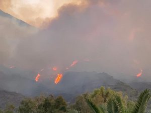 incendio stromboli 25-26 maggio