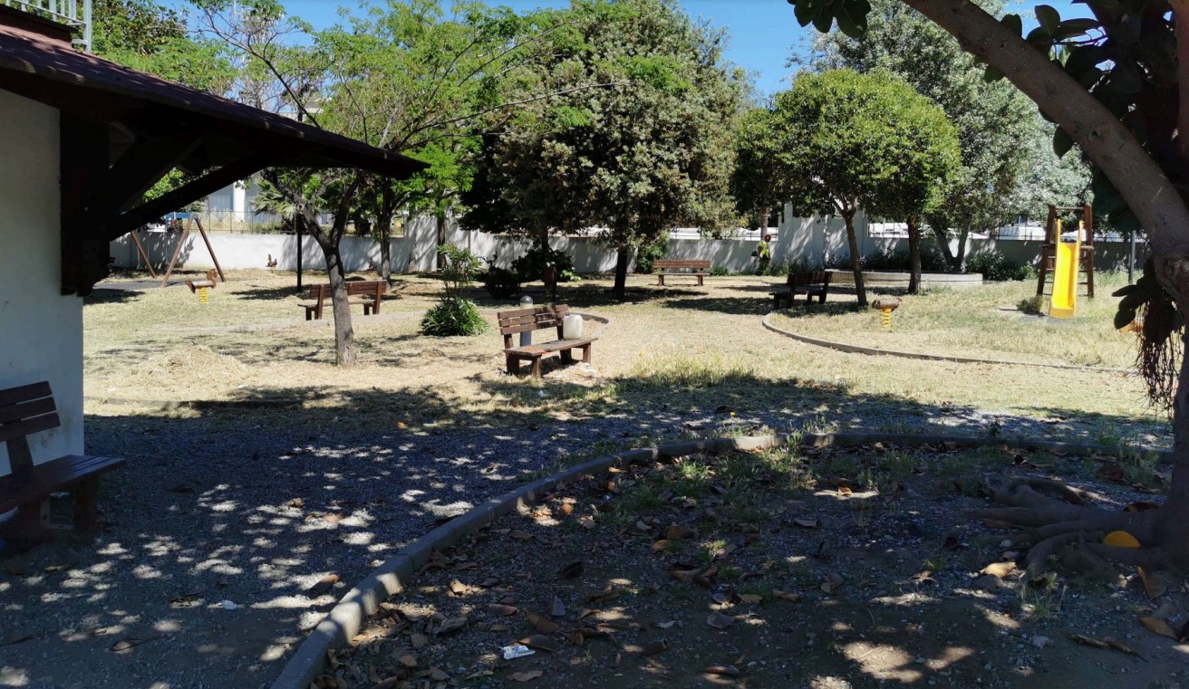 ripulito parco cacozza