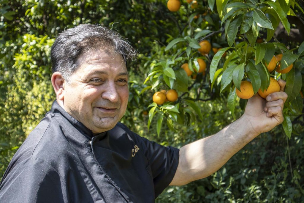 Cesare gusto sorbetto arancia belladonna