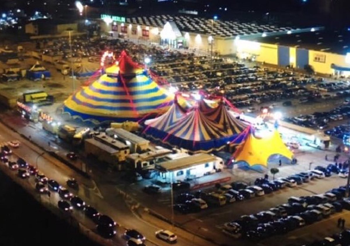 Circo
