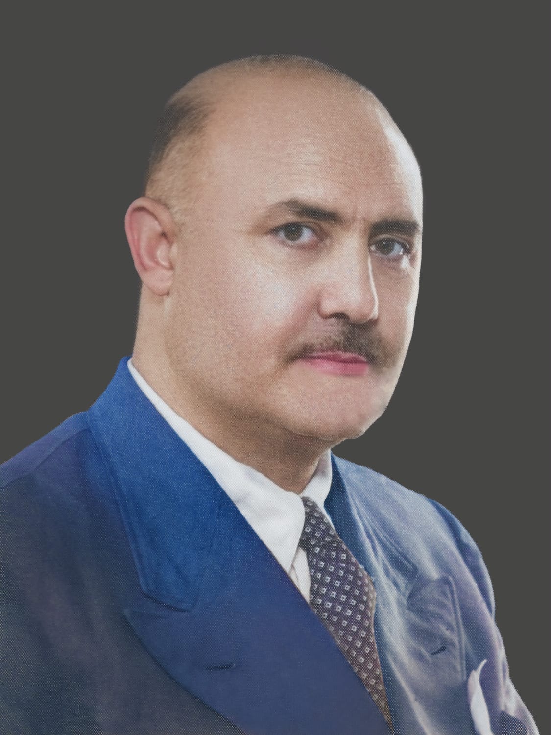 Domenico Antonio Pisani