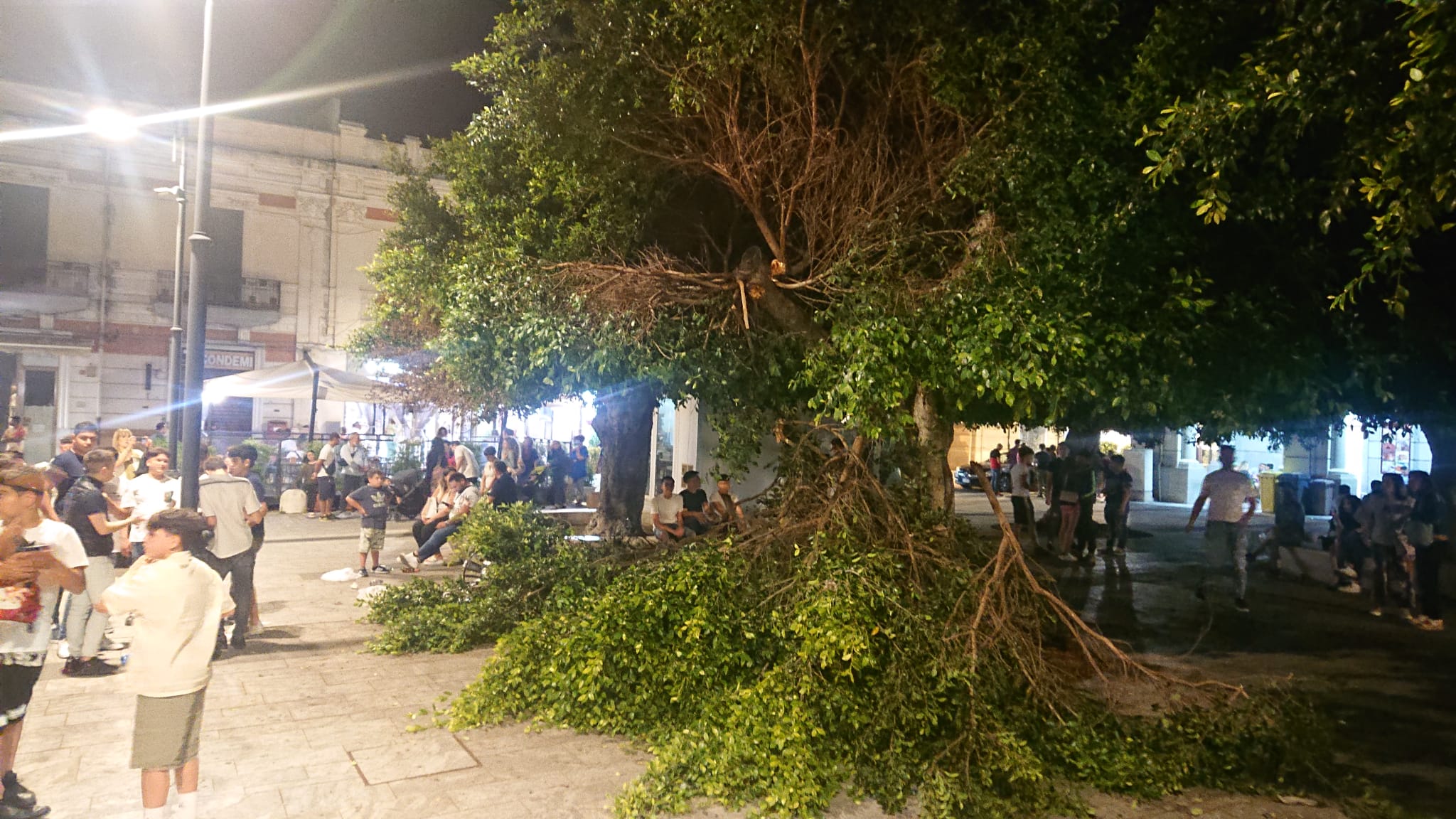 Ramo albero caduto duomo reggio cal