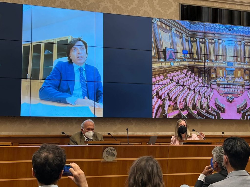 cinema calabrese in senato