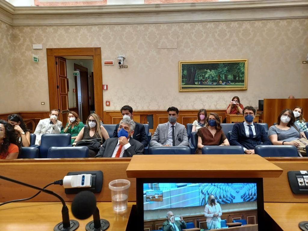 cinema calabrese in senato