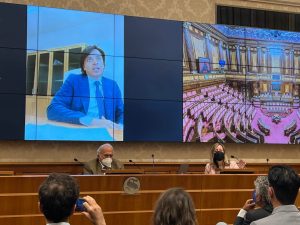cinema calabrese in senato